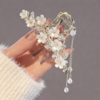 Elegant Hair Clip